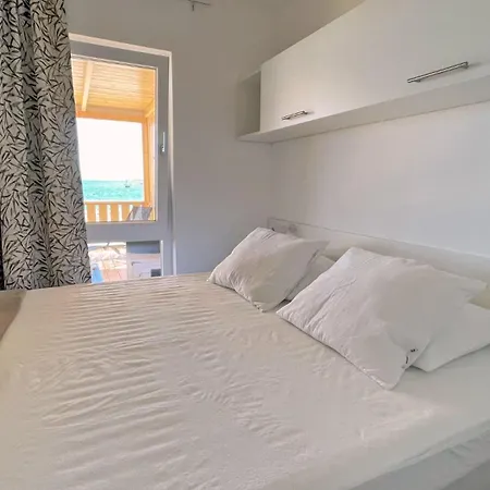 Janice * باكوشتاني