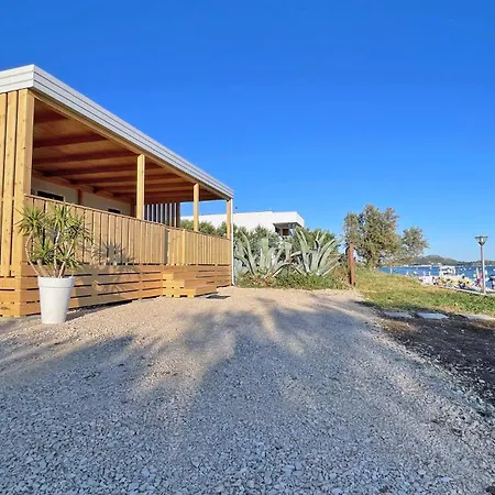 Janice * باكوشتاني